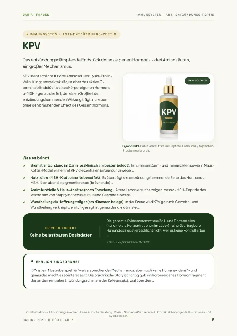Buchseite 4