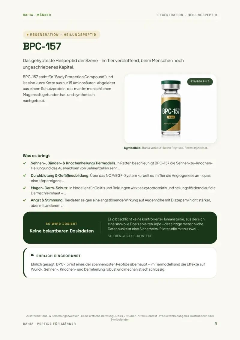 Buchseite 2