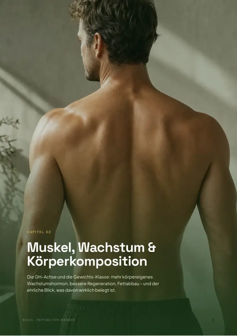 Buchseite 4